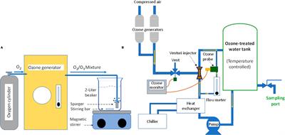 Inactivation kinetics of selected pathogenic and non-pathogenic bacteria by aqueous ozone to validate minimum usage in purified water